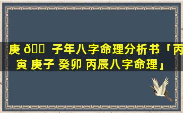 庚 🐠 子年八字命理分析书「丙寅 庚子 癸卯 丙辰八字命理」